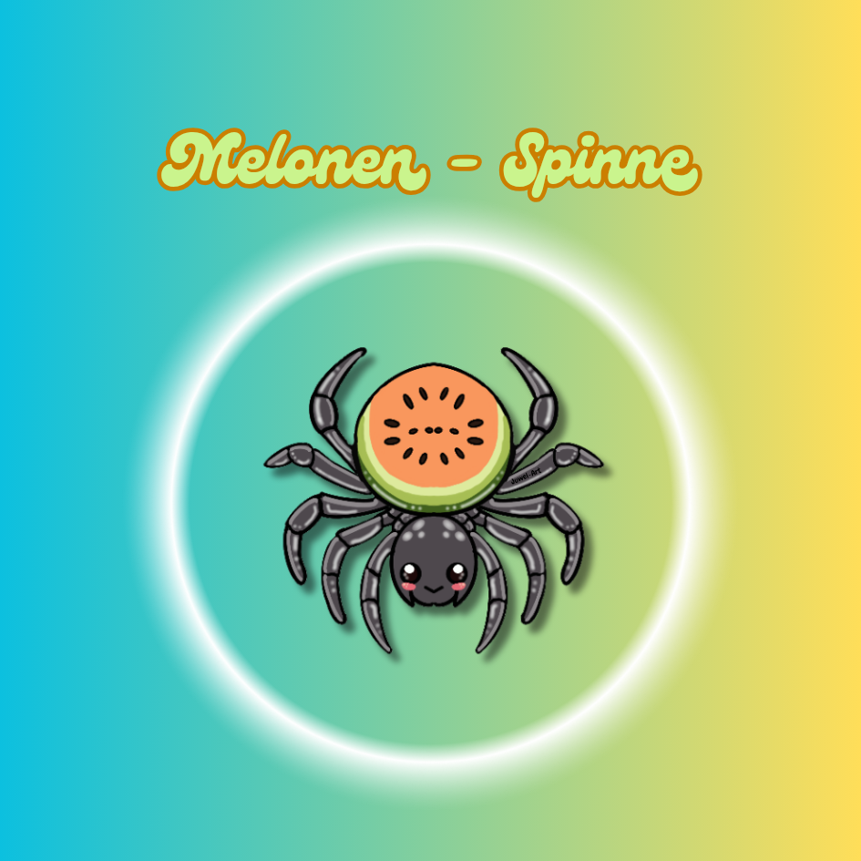 Melonen Spinne Kollektion