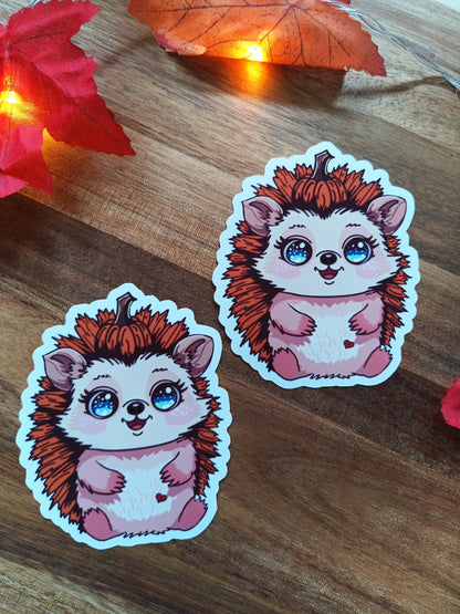 Kürbis Igel